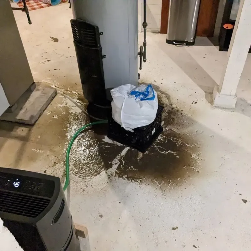 Sewage Backup Cleanup Service in Weed, CA